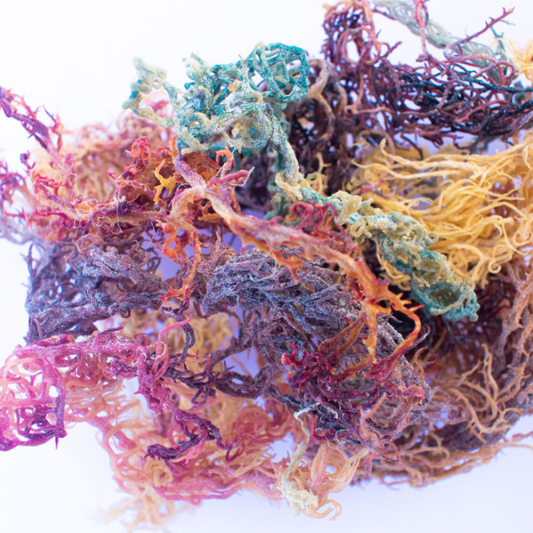 What to know about sea moss