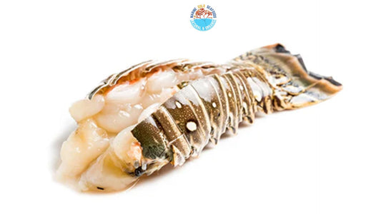 Best place to order lobster online  in USA, UK, Canada, Mexico