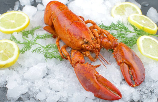 Buy Cheap Frozen Lobster Tails Online Wholesale in UK, USA