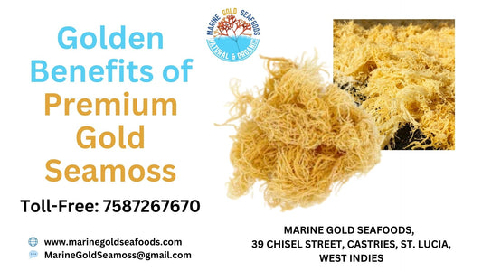 The Golden Benefits of Premium Gold Seamoss: Why Your Store Needs It