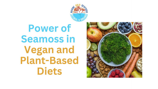 Power of Seamoss in Vegan and Plant-Based Diets