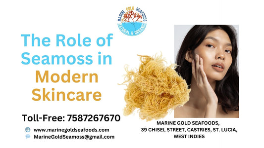 The Role of Seamoss in Modern Skincare