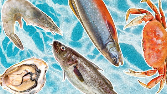 Sustainable Seafood Guide: Choosing Responsibly for a Healthy Ocean