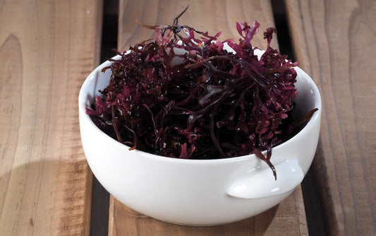 Irish Moss is Sea Moss: Unveiling the Benefits and Uses