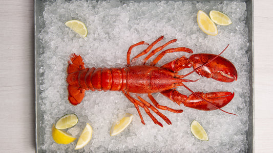 Embracing Convenience: The Appeal of Whole Frozen Lobster for Seafood Enthusiasts