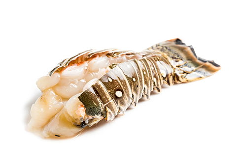 Lobster Tails (Frozen) Sold per pound